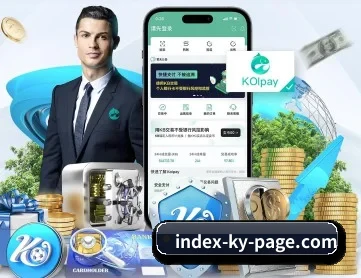 开云最新入口 APP 深入功能
